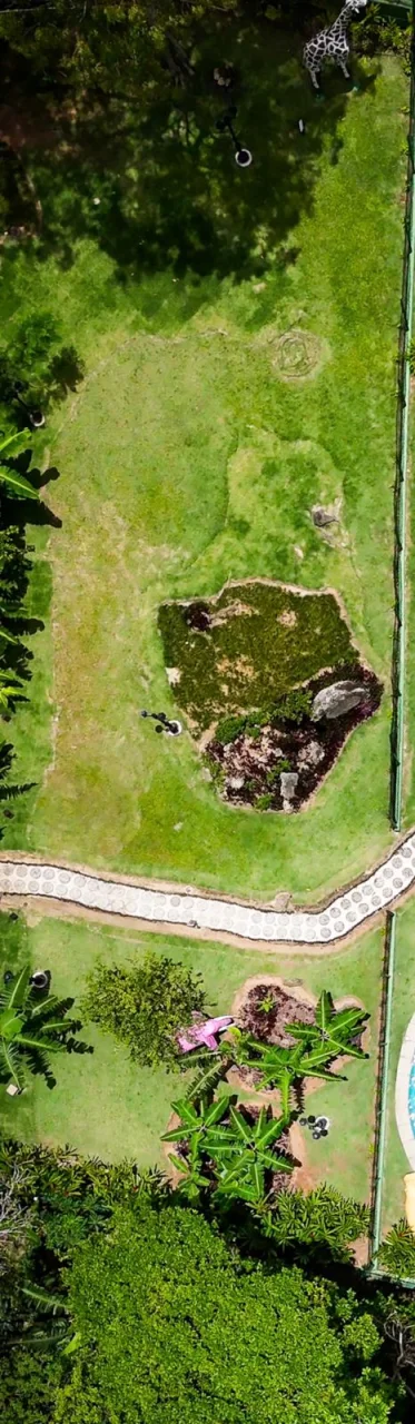 LOTE 24 - PRAIA DE GUAECÁ - LITORAL NORTE DE SP