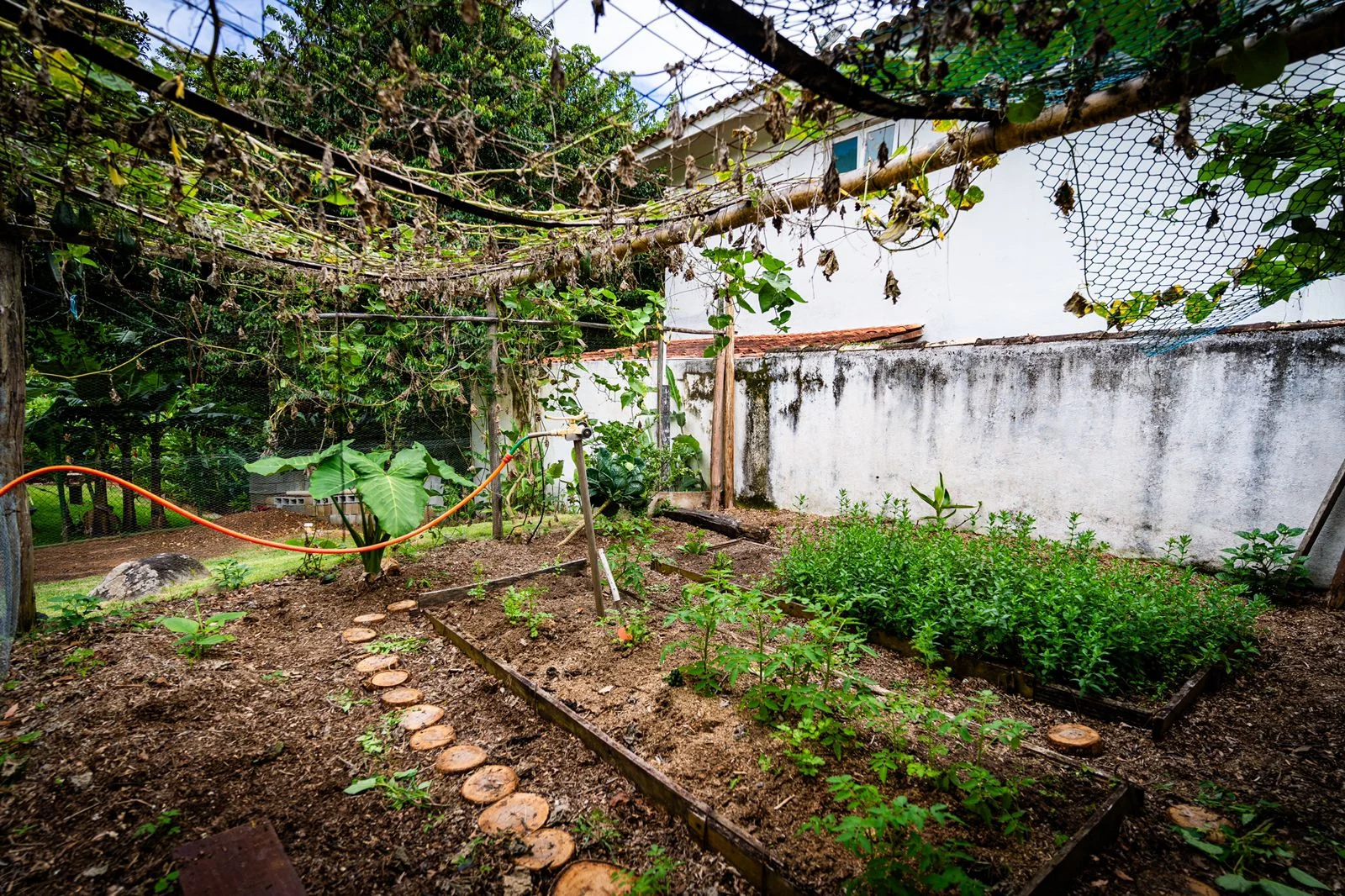 LOTE 25 - PRAIA DE GUAECÁ - LITORAL NORTE DE SP